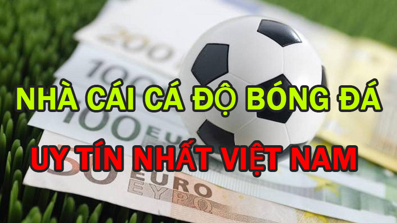 Top 5 web cá độ bóng đá uy tín nhất trên thị trường Việt Nam